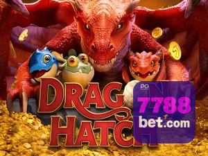 7788BET PIX instantâneo Brasil - Depósito e saque em minutos 24/7